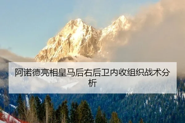 a-nuo-de-liang-xiang-huang-ma-hou-you-hou-wei-nei-shou-zu-zhi-zhan-shu-fen-xi-2-307.jpg
